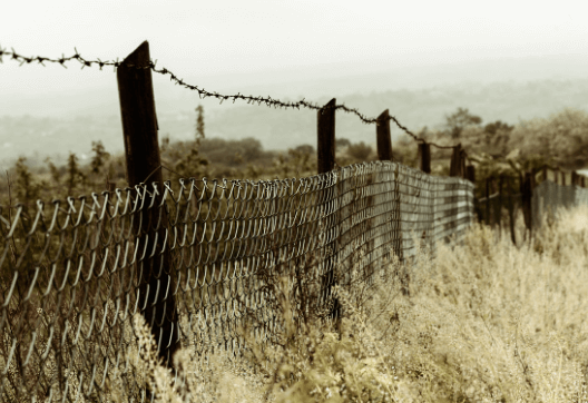 Čo si počať so starým nevzhľadným plotom