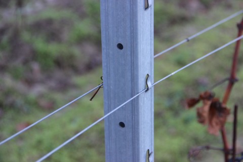 Vinohradnícky stĺpik 50/30/2200 mm s háčikmi na uchytenie drôtu