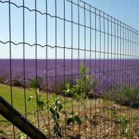 Zváraná sieť Pantanet Family 1020 mm antracit